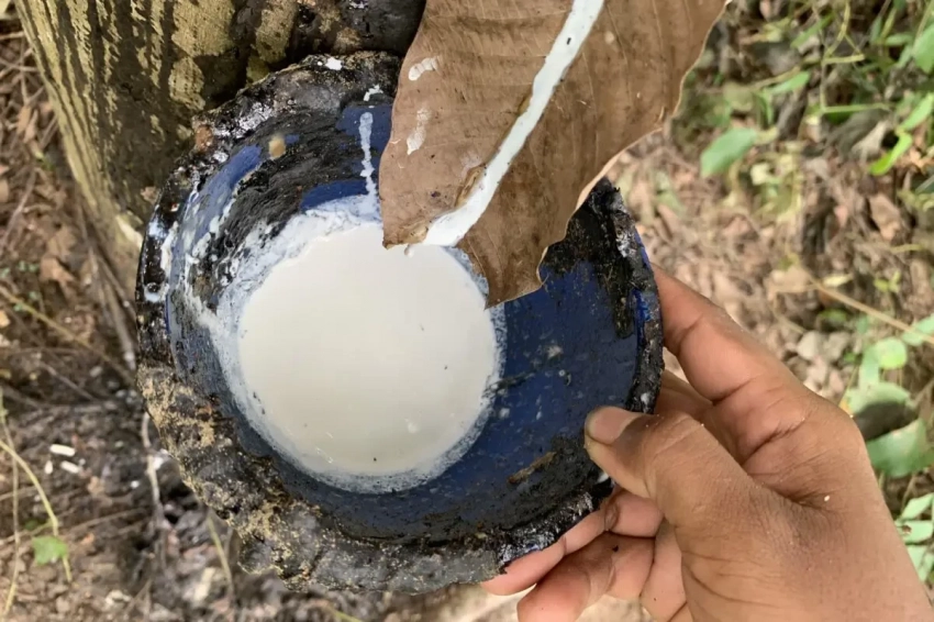 Синтетический каучук: как капиталисты душили друг друга