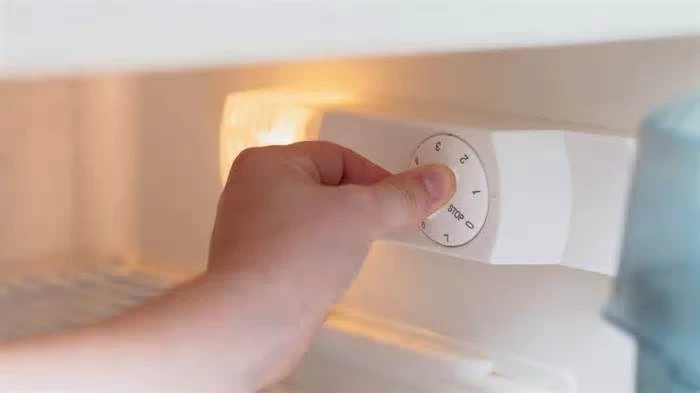 Правильная температура и размещение продуктов на полках холодильника: что нужно сделать, чтобы сохранить и еду, и технику