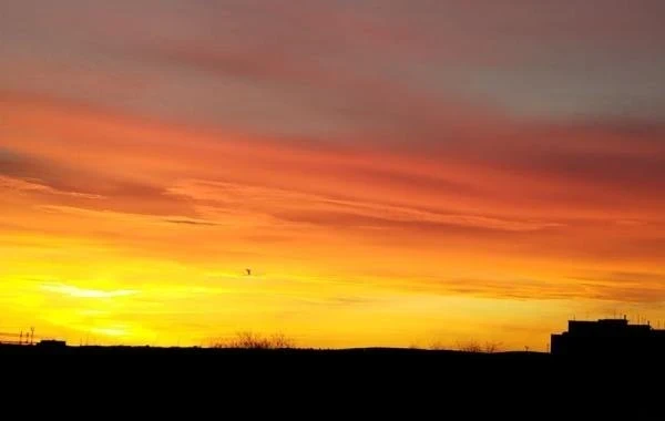 Магнитная буря 26 января 2026: стабильная геомагнитная обстановка порадует метеопатов в понедельник