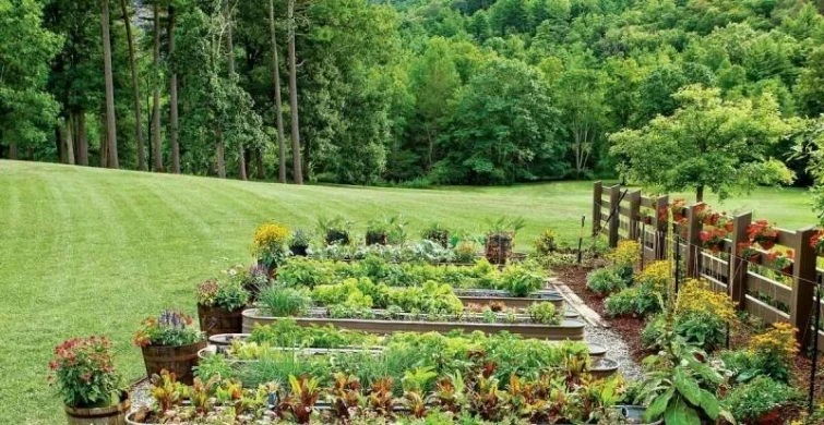 Системный подход к дачному сезону: как избежать хаоса и достичь успеха