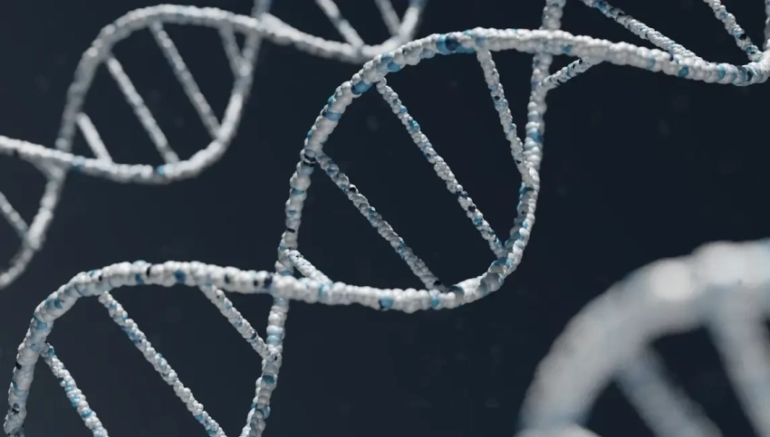 Госдума приняла закон об обязательной геномной регистрации силовиков