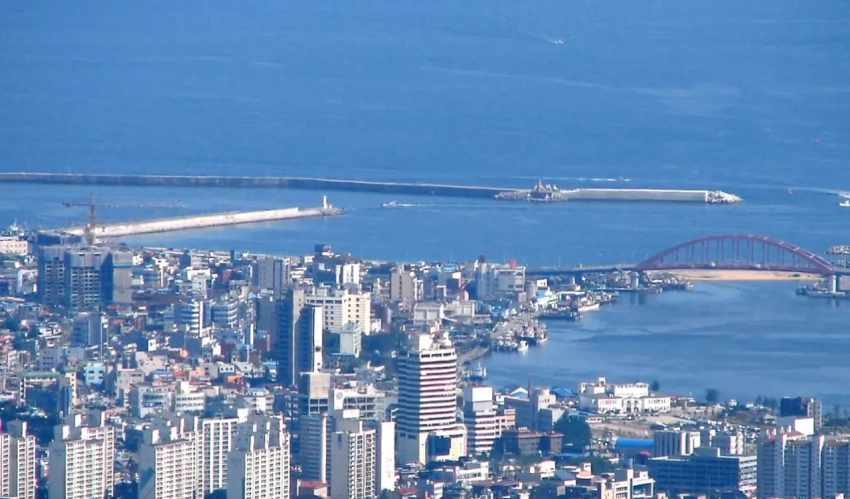 Возобновлено паромное сообщение между южнокорейским Сокчхо и Владивостоком